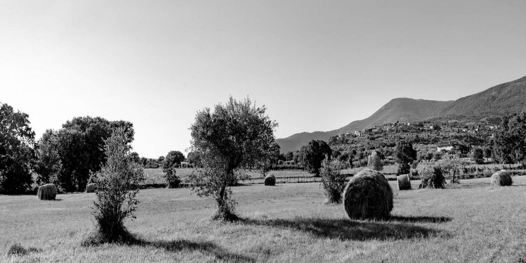 B&B Vico Suites Vico nel Lazio エクステリア 写真